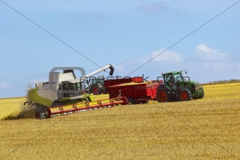 wolds harvesting 3