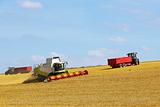 wolds harvesting 2