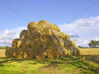 straw bales in summer