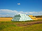 bales at harvest time