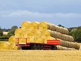 round bales and trailer