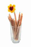 Set of multicolored wood pencils and one yellow flower in glass.