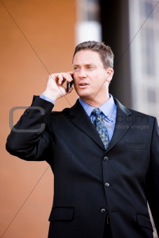Businessman On Cell Phone