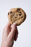 Hand holding cookie