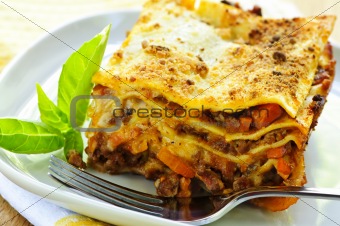 Plate of lasagna
