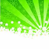 green background with daisies and sunshine. vector