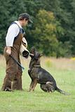 figurant and German shepherd at work