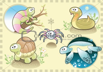 Reptiles and Spider Family