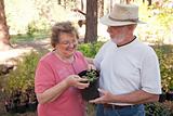 Attractive Senior Couple Overlooking Potted Plants at the Nursery.