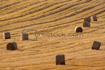 field with bales of hay, blue sky, bohemia, czech republic