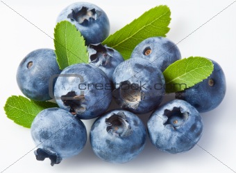 Bilberry on a white background