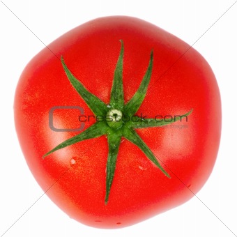 Red tomato .
