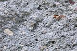 Grunge uneven texture from gray concrete