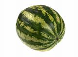 Full single striped green watermelon.