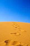 footsteps on sand dunes 