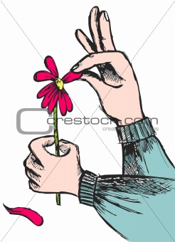 Love question: hands plucking off the petals of a red flower