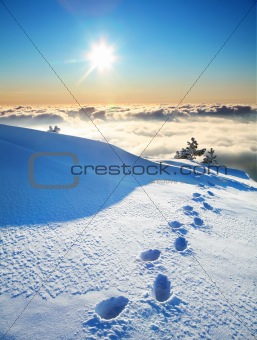 footprints on a snow