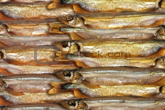 Abstract background of smoked golden fishs.