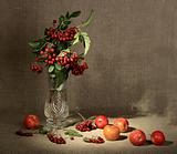 Bouquet of ashberry in glass vase and group of a red apples.