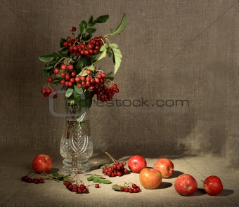 Bouquet of ashberry in glass vase and group of a red apples.