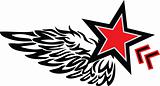 star wing logo