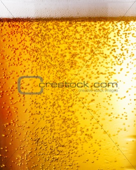 bubbles of beer