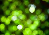 Green Abstract Lights