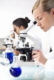 Female Scientific Research Team Using Microscopes in a Laborator