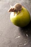 Mouse and apple