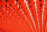 red and beautiful Chinese lantern