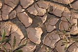 Environmental Climate Change Concept Photo of Dry Cracked Earth
