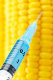 syringe threaded in corn crop