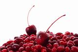 cranberries on white background