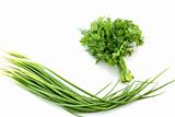 Onion and parsley isolated on the white background