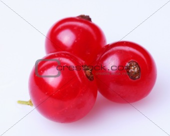 Currant red