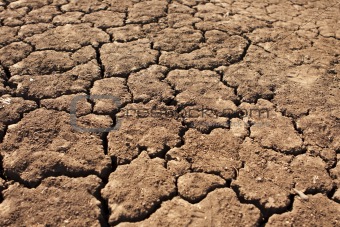 Dry, Parched Earth