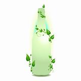 Bottle with green leaves