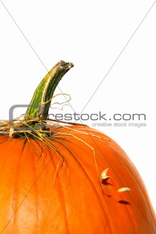 Closeup of pumpkin with bits of straw