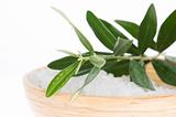 fresh olive branch and bath salt isolated on the white background. spa