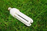 Energy saving light bulb in green grass