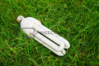 Energy saving light bulb in green grass
