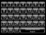 Calendar Icon Set - August