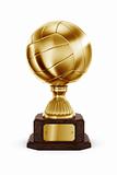 Gold Volleyball trophy