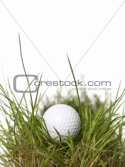 Golf ball on green grass isolated on a white background