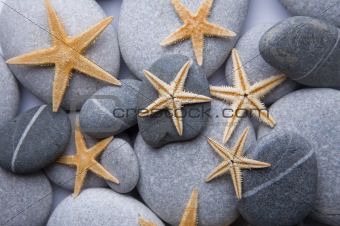Starfish and Pebble Background