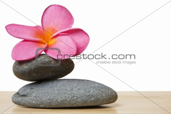 Stone Stack and Frangipani Flower