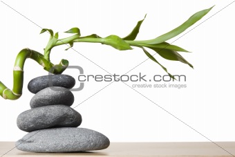 Stone Stack and Spiral Bamboo