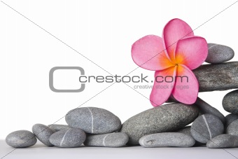 Stone Stack and Frangipani Flower