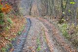 autumn mountain dirty road 