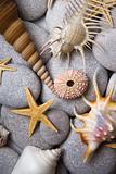 Attractive Pebbles and Seashells